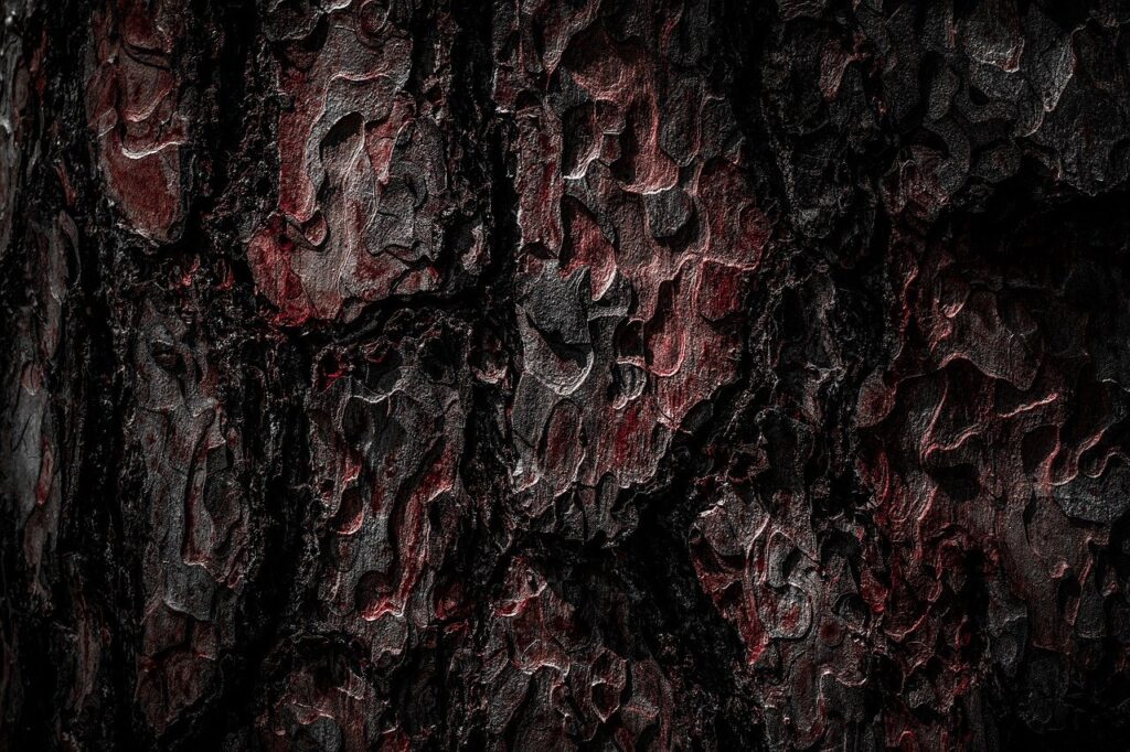 wood, texture, tree, forest, nature, texture, texture, texture, texture, texture