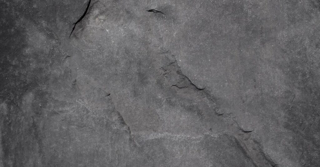 Close-up of a textured gray stone surface, highlighting natural patterns and details.